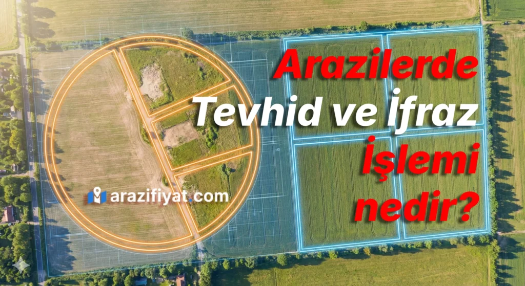 İfraz ve Tevhid İşlemleri Rehberi: Süreç ve Maliyetler