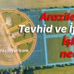 İfraz ve Tevhid İşlemleri Rehberi: Süreç ve Maliyetler